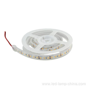 Waterproof 12V 2835 Flexible LED Strip